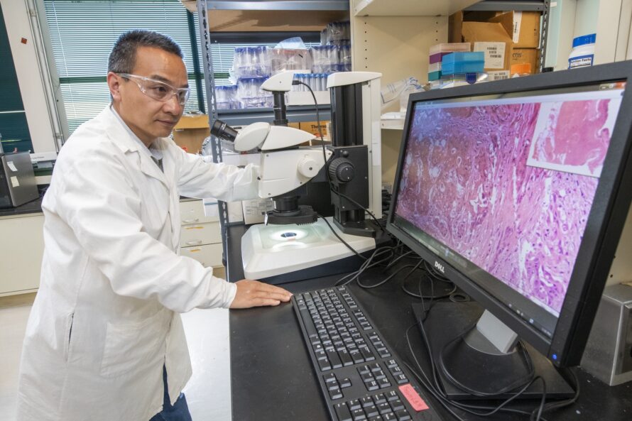 A man in a white lab coat and safety glasses stands next to a microscope, the display from which is on a large computer monitor. The screen shows a sample of tissue stained reddish purple.